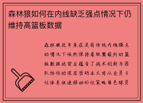 森林狼如何在内线缺乏强点情况下仍维持高篮板数据
